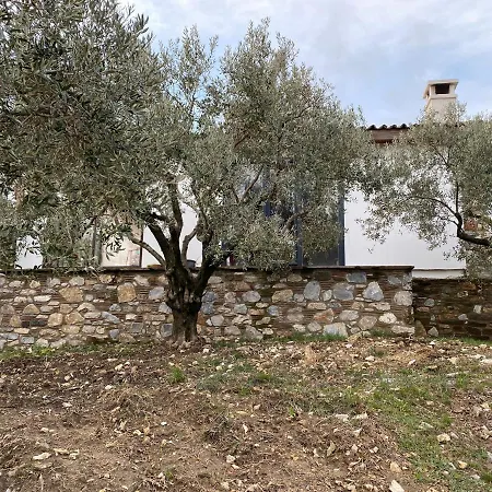 Lamin House
