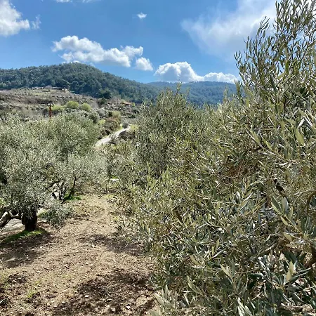 Holiday home Lamin House *