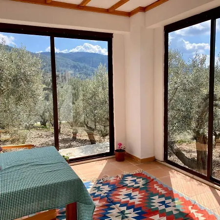 Lamin House Holiday home *
