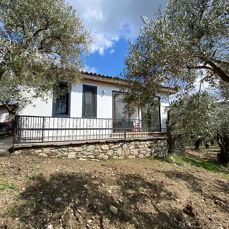 Holiday home Lamin House