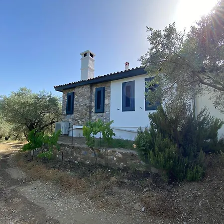 Lamin House Sirince
