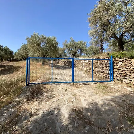 Lamin House Sirince