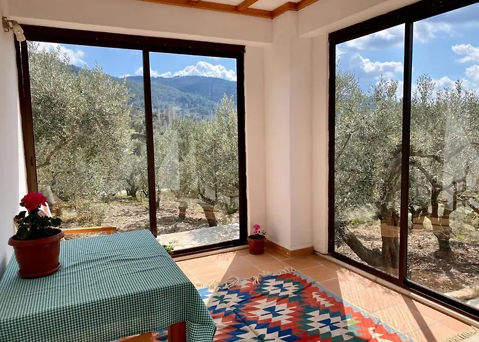 Lamin House Semesterbostad *