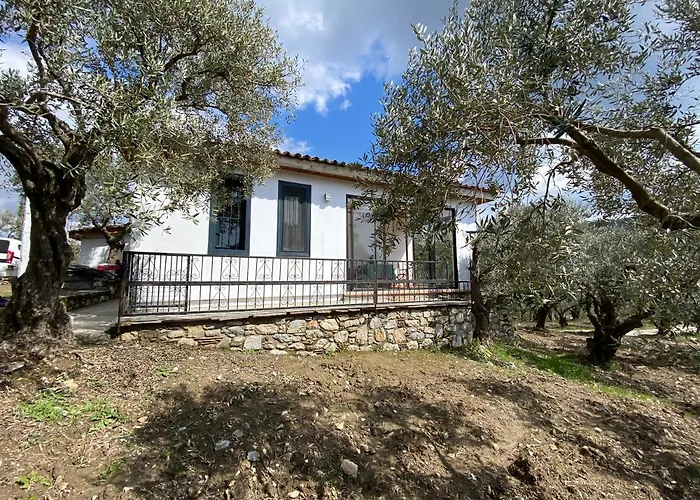 Semesterbostad Lamin House