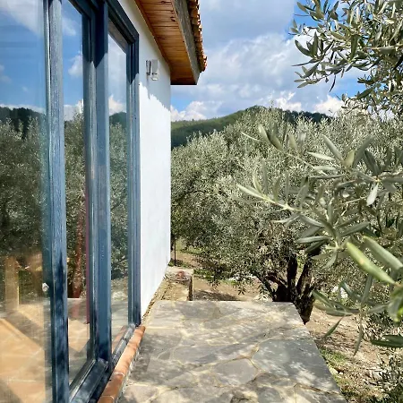 Tatil Evi Lamin House