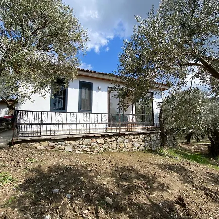 Semesterbostad Lamin House