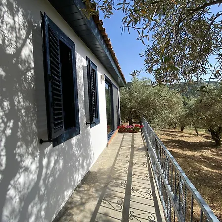 Lamin House Semesterbostad Sirince