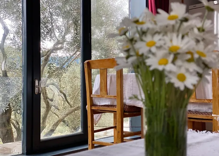 Lamin House Holiday home