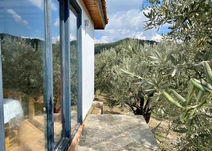 Holiday home Lamin House