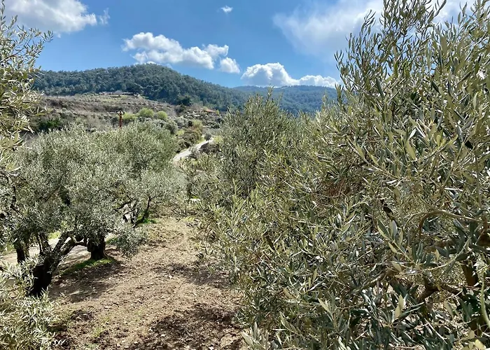 Holiday home Lamin House *